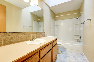 Bathroom interior with bath and shower combination