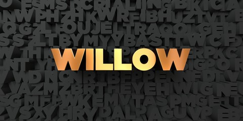 Willow - Gold text on black background - 3D rendered royalty free stock picture. This image can be used for an online website banner ad or a print postcard.