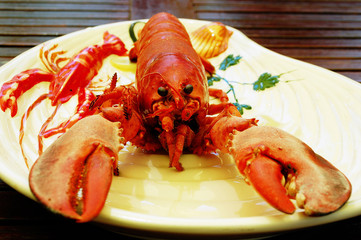 Lobster