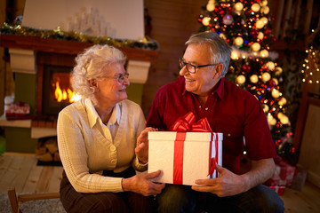 Obraz na płótnie Canvas grandparents smiling and holding big gift .