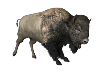 3D Rendering Bison on White