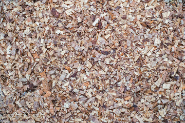 Wood Sawdust Texture Background, top view
