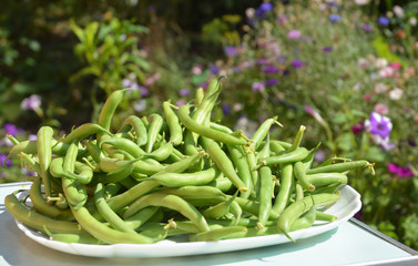 Green beans casserole, also known as string beans, or snap beans