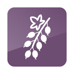 Currant outline icon. Fruit