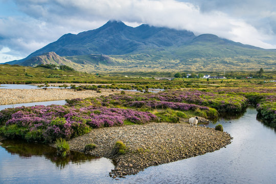 The Cuillin Hills Landscape, Isle Of Skye, Scotland