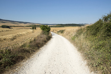 Camino de Santiago from Pamplona to Puente la Reina