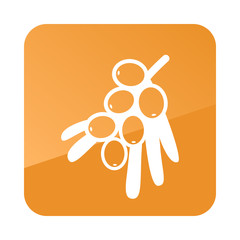 Branch of sea-buckthorn berries icon. Berry