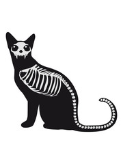 Gothic cat skeleton