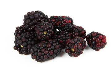 Brombeeren © Andre Bonn