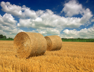 Hay bale in the countryside