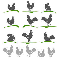 Cock and chicken set. Vector