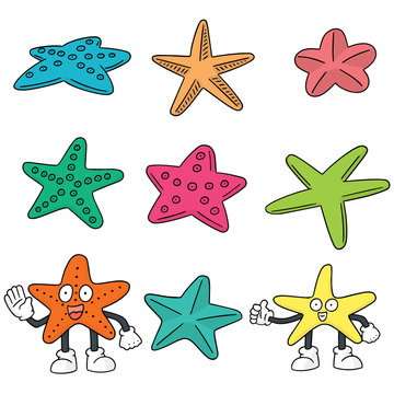 vector set of starfish