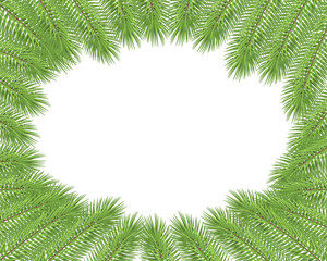 Merry christmas background with fir, christmas tree branches on white , snowy branches