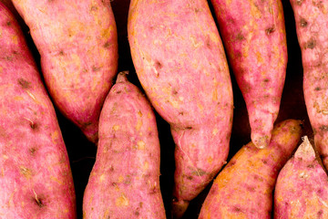 organic orange sweet potato yam  on white background healthy fruit food isolated
