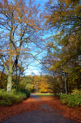 jungfernheidepark