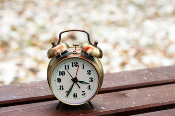 alarm clock on natural landscape season park