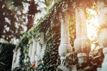 White Baroque balustrade with green leaves in the summer sun light with blurry bokeh background