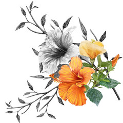 illustration of beautiful flower  on  white background