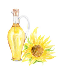 Watercolor sunflower oil bottle with sunflower on white background. Healthy and useful oil for frying and dressing.