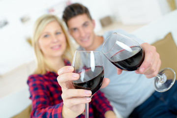 Closeup of couple toasting with wineglasses