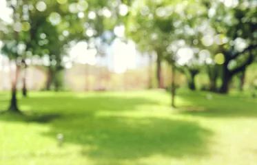 Foto auf Acrylglas Garten defokussierter Bokeh-Hintergrund von Gartenbäumen im sonnigen Tag