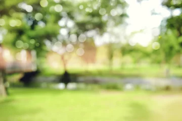 Foto auf Acrylglas Garten Defokussierter Bokeh-Hintergrund von Gartenbäumen an sonnigen Tagen