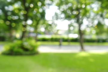 defocused bokeh background of  garden trees in sunny day