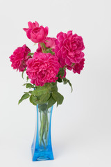 Red rose bouquet in blue vase isolated on white background