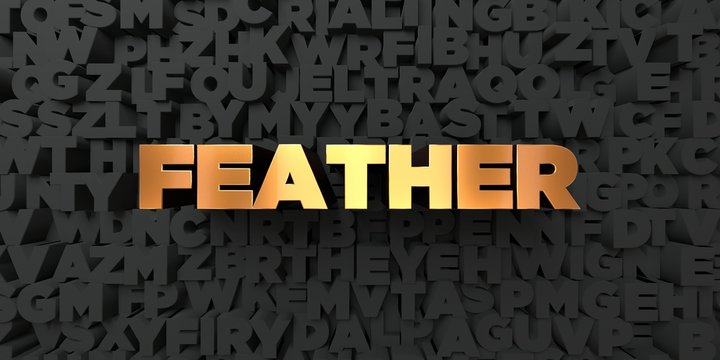 Feather - Gold text on black background - 3D rendered royalty free stock picture. This image can be used for an online website banner ad or a print postcard.