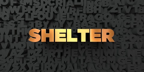 Shelter - Gold text on black background - 3D rendered royalty free stock picture. This image can be used for an online website banner ad or a print postcard.