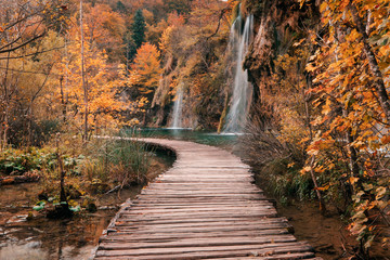 Wooden bridge through the river in autumn season