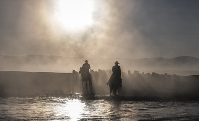 Sheepherder on horse