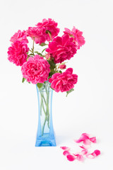 Red rose bouquet in blue vase isolated on white background