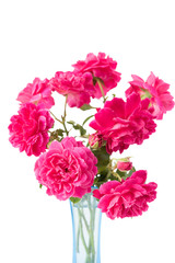 Red rose bouquet in blue vase isolated on white