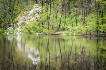 Obraz premium Mountain Lakes Princeton NJ