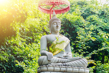 Buddha statue in morning sun in forest