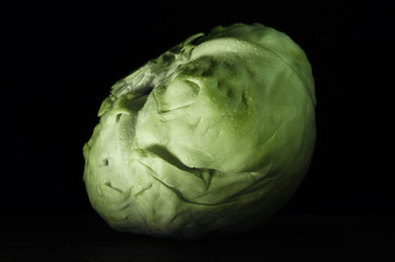 Fototapeta premium Fresh cabbage with drops