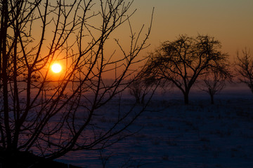 Зимний закат солнца в сельской местности