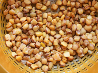Grass pea aka Cicerchia vegetables