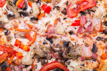 Italian pizza. macro. Background