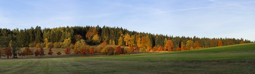 Row of the red maples lining the pave