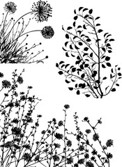 Garden series