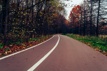 Obraz premium Осенний парк. 9