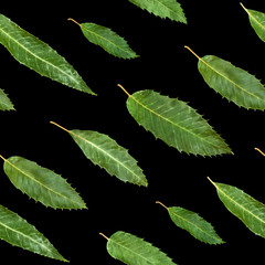 Green leaves photographic seamless pattern. Castanea sativa, fal