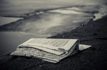 Wet book on a sea shore