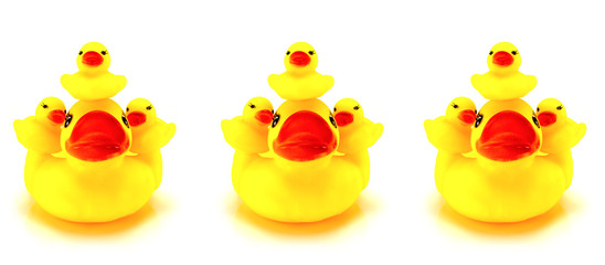 Yellow toy rubber duck mouth, red - Stuffed duck white backgroun