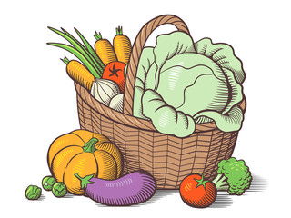 Basket with vegetables. Stylized colored vector illustration. Cabbage, pumpkin, eggplant, tomatoes, onion, carrots, broccoli, brussels sprouts