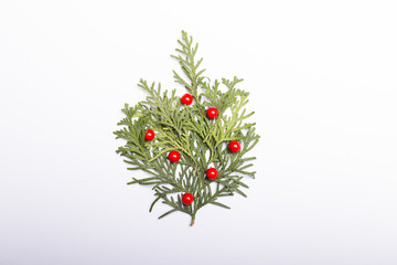 Christmas / New Year set with pine tree and red berry on white b