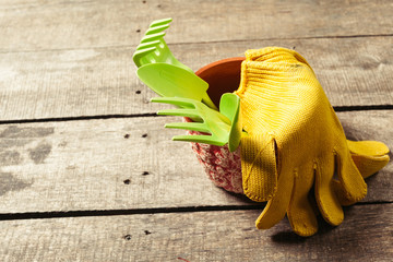 composition of garden tools