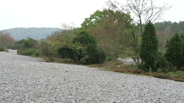 flint stone field of Neu Mukran (Rugen island), Germany. Feuersteinfeld.